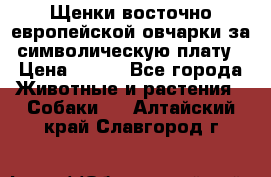 Щенки восточно европейской овчарки за символическую плату › Цена ­ 250 - Все города Животные и растения » Собаки   . Алтайский край,Славгород г.